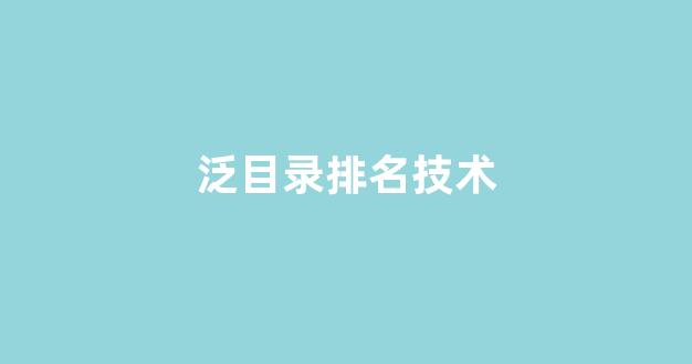搜索引擎优化seo